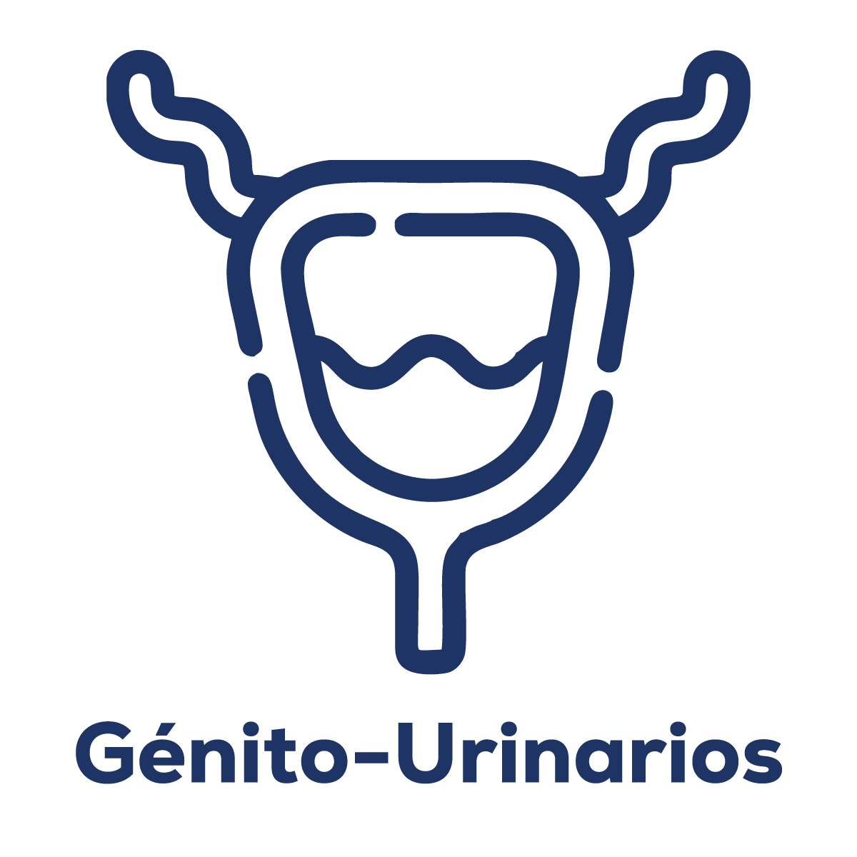 Génito-Urinarios